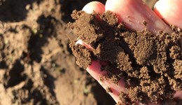 Using potentially mineralisable nitrogen to measure soil health